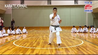 Demonstration of ANAN WORLD CHAMPION RYO KIYUNA 喜友名諒アーナン演武 [upl. by Jelena]