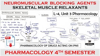 Neuromuscular Blocking Agents and Skeletal Muscle Relaxants  L4 U3  Pharmacology 4th semester [upl. by Tiduj725]