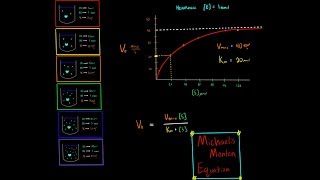 Michaelis Menten Equation Enzyme Kinetics PART 1 Introduction [upl. by Nnaeiluj]