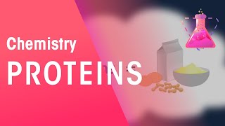 Proteins  Organic Chemistry  Chemistry  FuseSchool [upl. by Waine]