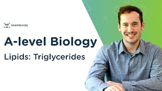 Lipids Triglycerides  Alevel Biology  OCR AQA Edexcel [upl. by Allyson]