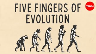 Five fingers of evolution  Paul Andersen [upl. by Ramiah200]