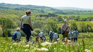 WILD ORCHID HUNT with the Countess of Sandwich  Ep 11 [upl. by Trebleda]