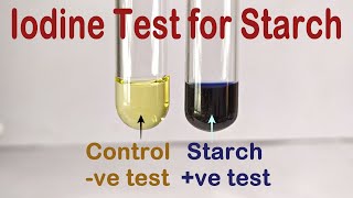 Iodine Test For Starch Practical Experiment [upl. by Batchelor698]