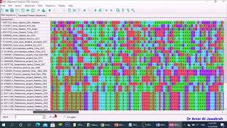 MEGA X How to construct a phylogenetic tree [upl. by Renato145]