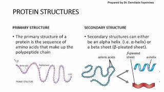 Chapter 23 Biological Molecules  Proteins [upl. by Lisandra932]