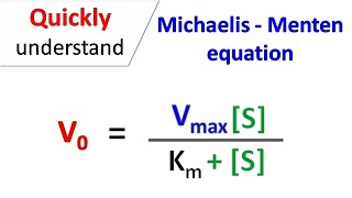 Michaelis Menten equation [upl. by Airual286]