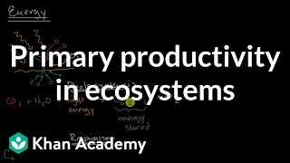 Primary productivity in ecosystems Matter and Energy Flow AP Environmental Science Khan Academy [upl. by Marva]