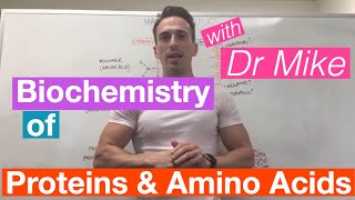 Proteins amp Amino Acids  Biochemistry [upl. by Airekal]