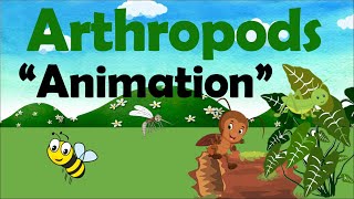 ARTHROPODS  Biology Animation [upl. by Ierdna]