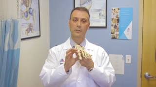 Flexible Bunion Corrector Hallux Valgus by EPITACT® TV AD [upl. by Morgun]