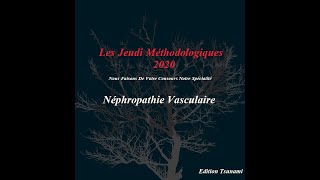 Item 260  Néphropathie Vasculaire [upl. by Rysler472]