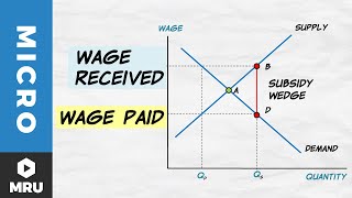 Wage Subsidies [upl. by Akirderf]