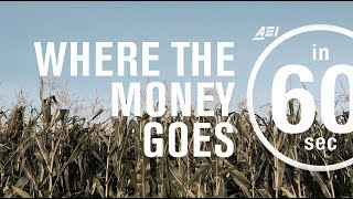 Farm subsidies Where the money goes  IN 60 SECONDS [upl. by Mcneil]