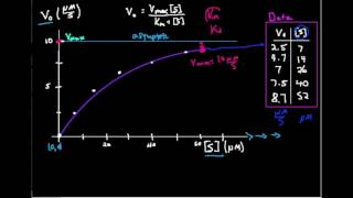 MichaelisMenten Plot Estimating Km [upl. by Richers567]