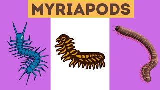 Myriapods Characteristics [upl. by Maighdiln]