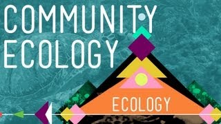 Community Ecology Feel the Love  Crash Course Ecology 4 [upl. by Griz]