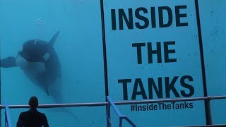 Inside The Tanks Full Documentary [upl. by Rossie]