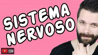 SISTEMA NERVOSO  FISIOLOGIA  Aula  Biologia com Samuel Cunha [upl. by Joris215]