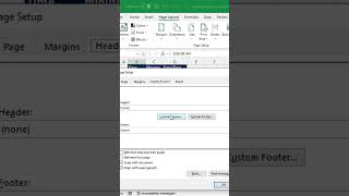 Add PAGE NUMBERS to Excel Spreadsheets in SECONDS [upl. by Varden215]