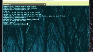 How to run a sh file in Linux [upl. by Eiclek]