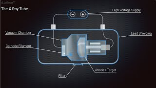 X Ray Production Animation [upl. by Ethbun]