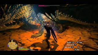 Dragons Dogma  Bitterblack Isle  Firedrake amp Frostwyrm [upl. by Asilla78]