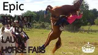 Try not to laugh  horse fails [upl. by Miun625]