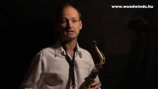 Alto Saxophone Test  Selmer MARK VII vs MARK VI [upl. by Licht]