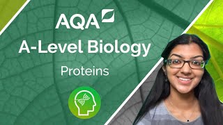 AQA A Level Biology Proteins [upl. by Skipper]