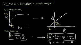 BIOCHEM 22  LineweaverBurk Plots [upl. by Shelba]