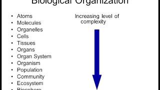 Biology 1010 Lecture 1 Intro to Biology [upl. by Airbmac]