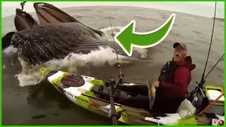 Fishing fails and bloopers compilation 2021 [upl. by Yelha]