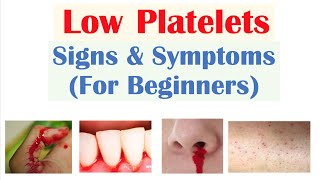 Platelets Thrombocytes  The Cell Pieces that Lack Nucleus  Hematology [upl. by Ijies]