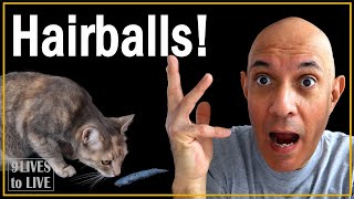 Cat Hairballs How to Help Your Cat [upl. by Atteselrahc]