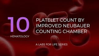 PLATELET DISORDERS made easy Lifecycle and Classification [upl. by Readus564]