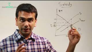 Microeconomics Subsidy [upl. by Blasius]