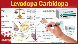 Pharmacology CNS 3 Parkinsons Disease Treatment Part 1 Levodopa Carbidopa and Benserazide [upl. by Nosraep]