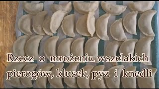 Jak mrozić pierogi kluski pyzy i knedle [upl. by Llertniuq]