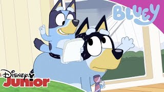 😎 Szefowa Bluey  Bluey  Disney Junior Polska [upl. by Sidran]