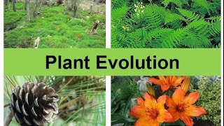 Plant Evolution updated [upl. by Gomar]