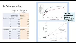 Michaelis Menten and Lineweaver Burk plots [upl. by Laefar]