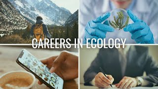 The 4 Types of Careers in Ecology  Careers in Biology and Environmental Science [upl. by Doreen]