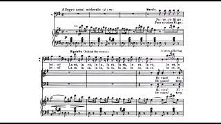 Povero Rigoletto and Cortigiani vil razza dannata “Rigoletto” by Giuseppe Verdi sheet music [upl. by Kelam]