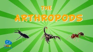 The Arthropods  Educational Video for Kids [upl. by Marianna982]