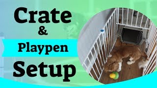 Puppy Crate Setup  Using A Puppy Playpen [upl. by Veronique]