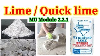 The Ultimate Guide to Mastering the Lime  Quick lime Everything You Need to Know [upl. by Denby774]