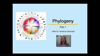 Phylogeny Part 1 [upl. by Marola]