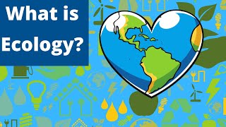 EcologyDefinitionExamplesExplanation [upl. by Sellers]