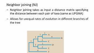 Phylogenetics  Distance Methods UPGMA NJ [upl. by Aelyk]